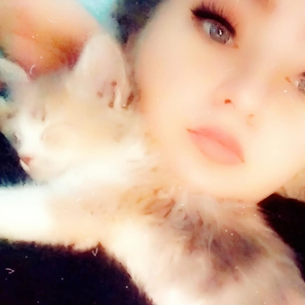 Meet your Posher, Nikala